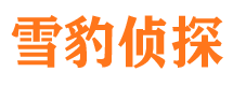 许昌市调查公司